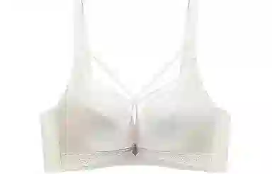 二三二三 聚拢上托简约舒适无钢圈调整型文胸 女款