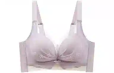 二三二三 超薄款聚拢大胸显小无钢圈蕾丝收副乳美背文胸 女款