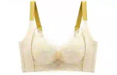 二三二三 上托聚拢收副乳无钢圈文胸 女款