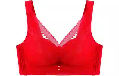 二三二三 无钢圈收副乳防下垂蕾丝薄款透气文胸 女款