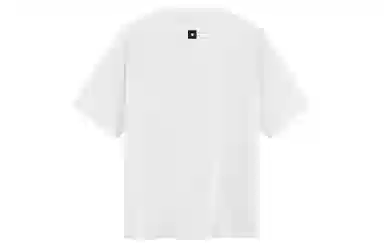 ICONS Lab T
