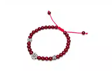 MOUNTAINS AND MANS s925