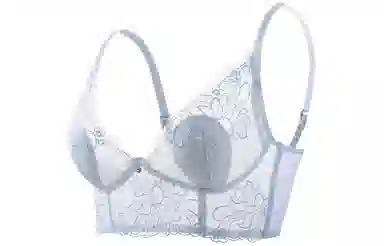 二三二三 植物花卉薄款网纱聚拢收副乳防下垂文胸 女款