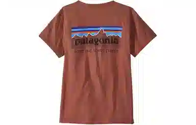 Patagonia P-6 Mission Organic Tee