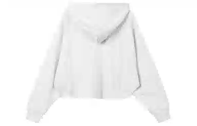 adidas Originals Cropped Hoodie Light Grey