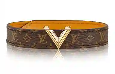 Louis Vuitton LV Essential V Brown