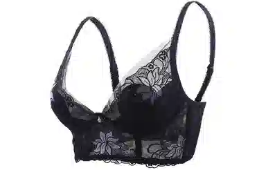 二三二三 植物花卉薄款网纱聚拢收副乳防下垂文胸 女款