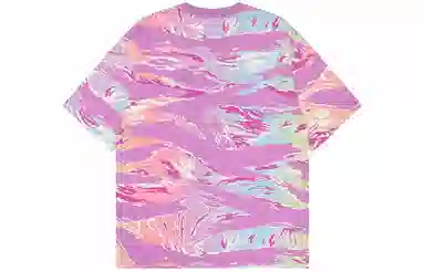 Aape T