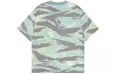 Aape T