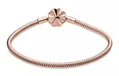 Pandora Moments Bracelet