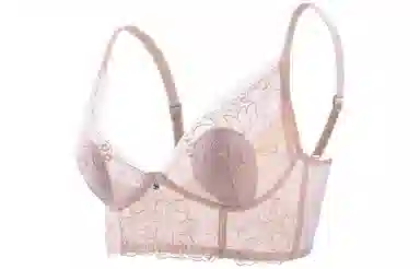 二三二三 植物花卉薄款网纱聚拢收副乳防下垂文胸 女款