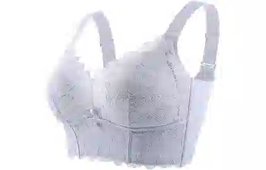 二三二三 调整型植物花卉聚拢收副乳文胸 女款