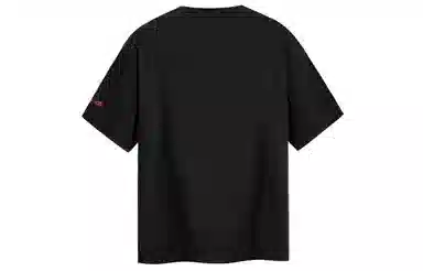 ICONS Lab T