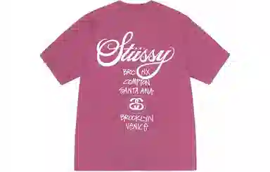 Stussy SS24 LogoT