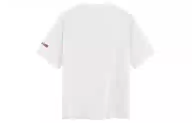 ICONS Lab T