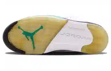 Jordan Air Jordan 5 Retro Grape PU