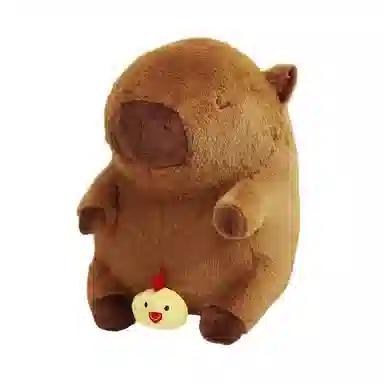 25cm35cm45cm
