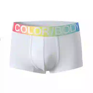 Icolor 1