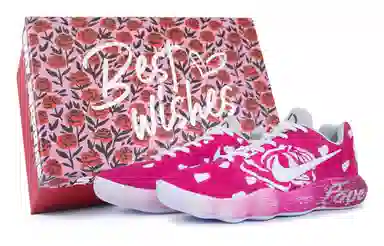 Nike Hyperdunk 2017 low