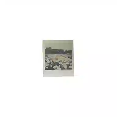 YG Entertainment BLACKPINK BLACKPINK ROS SOLO R PB