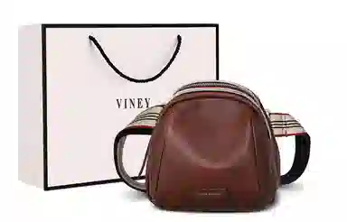 VINEY ins