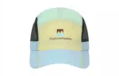 MostwantedLab