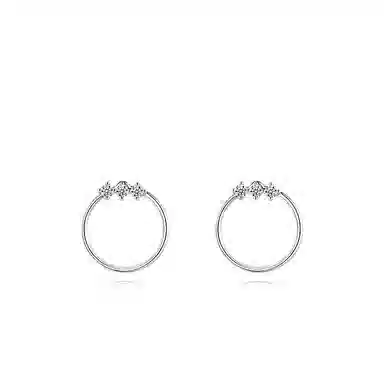 BLEC S925 Silver Earrings