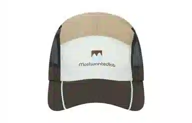 MostwantedLab