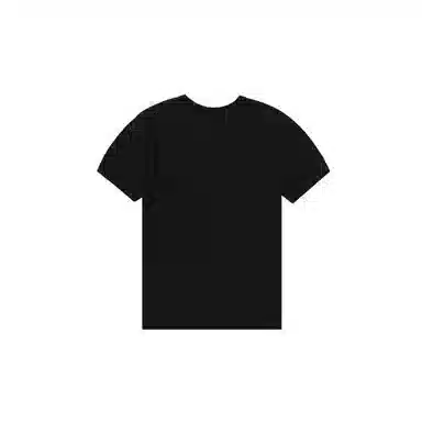 Champion T 2