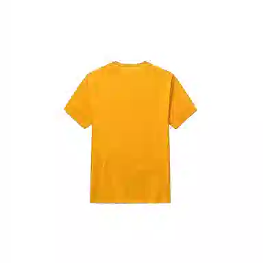 Champion T 2