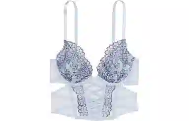 Victoria's Secret PINKDREAMANGELS Boho Floral Embroidery Low-Cut Demi Corset