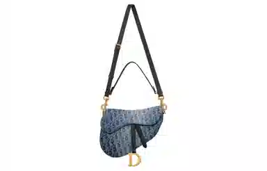 Dior Saddle Bag