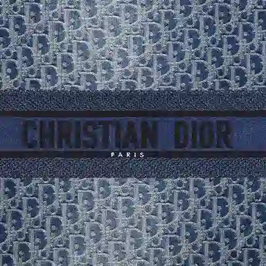 DIOR BookToteOBLIQUE Tote