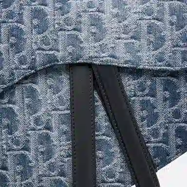 Dior Saddle Bag