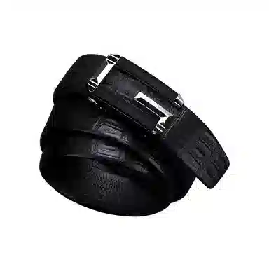 WilliamPOLO ) 3.3cm