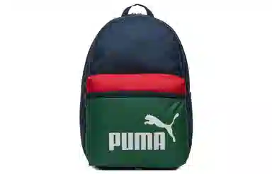 PUMA Phase