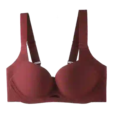 内在密码 无痕薄款大胸显小聚拢提拉防下垂收副乳调文胸 女款