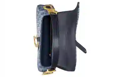 Dior Saddle Bag