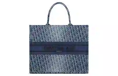 DIOR BookToteOBLIQUE Tote