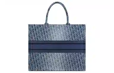 DIOR BookToteOBLIQUE Tote