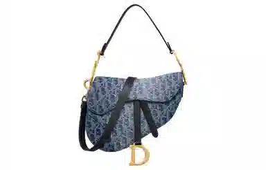 Dior Saddle Bag