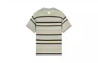 Palladium T