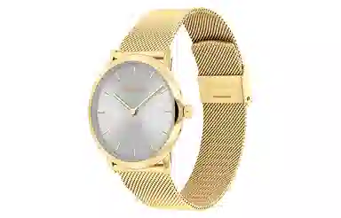 CKCalvin Klein 30 25300003