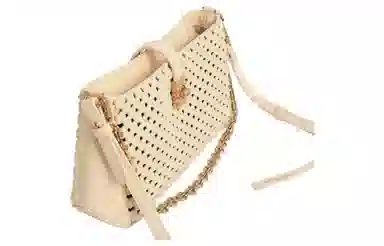 CHARLES&KEITH Metal Buckle Chain Bag Medium