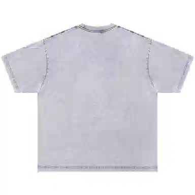 FEAROM T