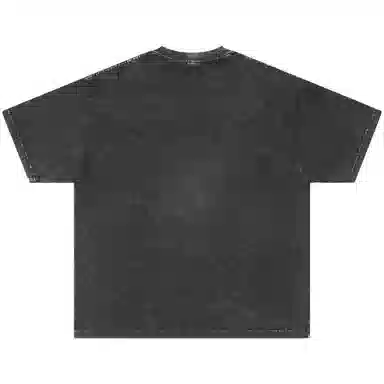 FEAROM T