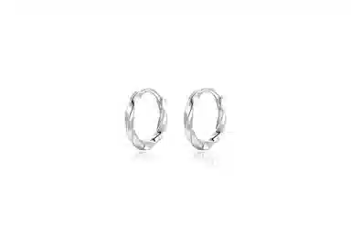 JOYDINNY S925 Silver Earrings