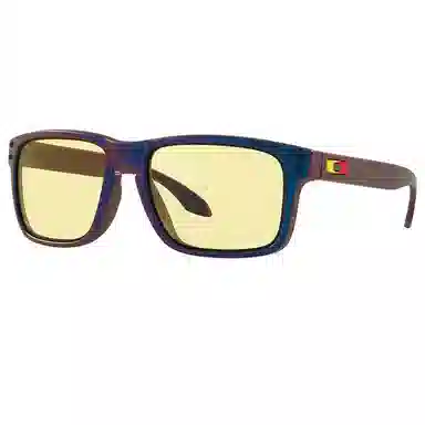 Oakley Holbrook 9244