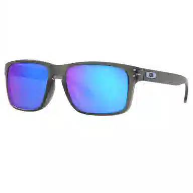 Oakley Holbrook 9244