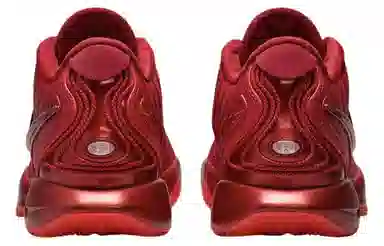 Nike Lebron 21 "James Gang" Red